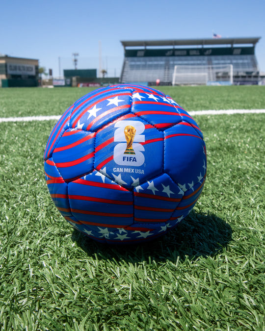 FIFA USA Mini Ball