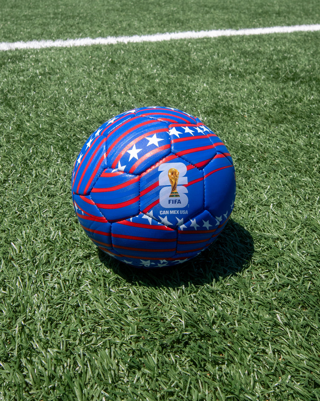 FIFA USA Mini Ball