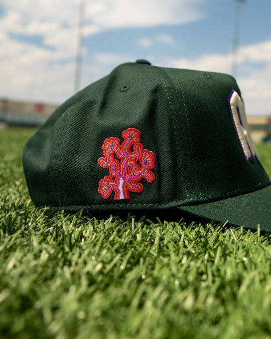 Hispanic Heritage Snapback