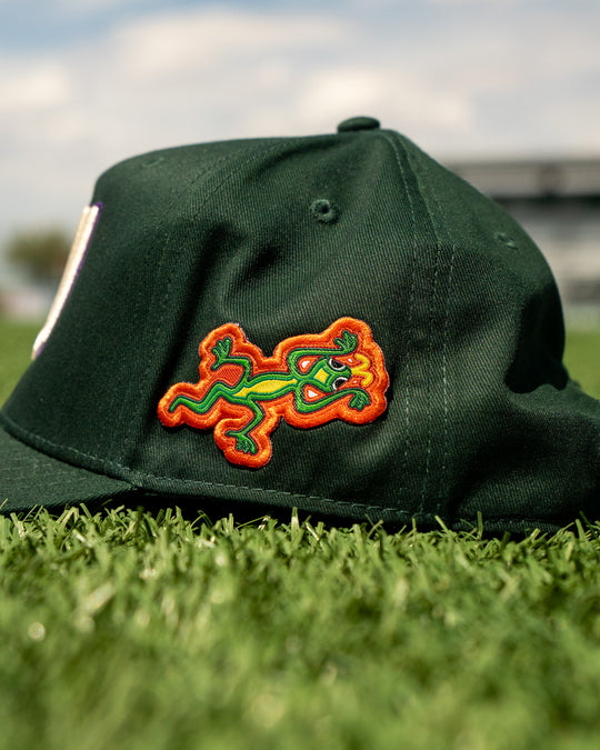 Hispanic Heritage Snapback