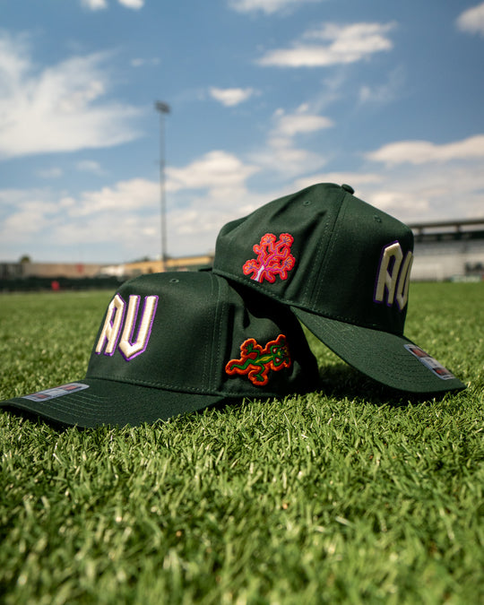 Hispanic Heritage Snapback