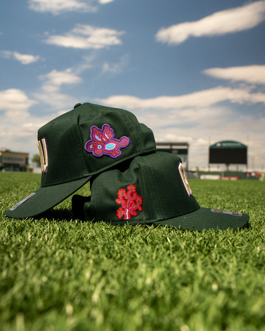 Hispanic Heritage Snapback