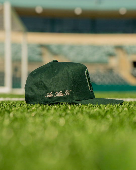 AV Script Hat